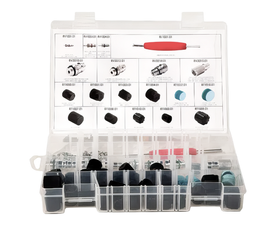 Набор для автокондиционеров Errecom RK1060 (сервисные порты, золотники, колпачки), фото 