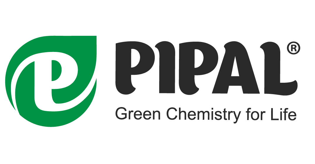 Pipal Pipal