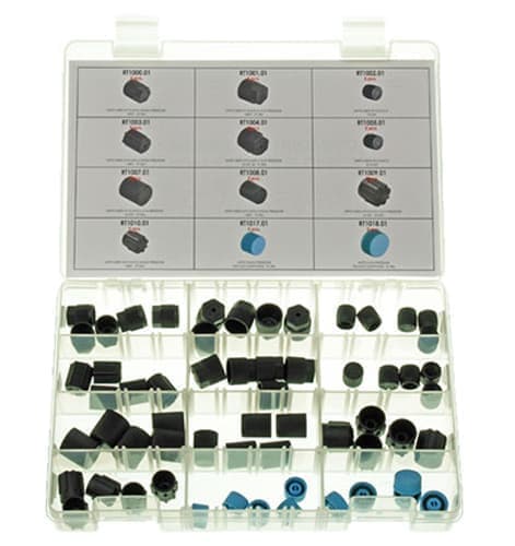 Набор колпачков для сервисных портов Errecom RK1052